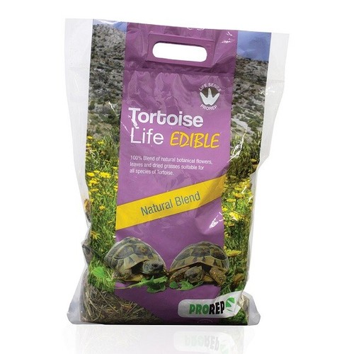 Prorep tortoise life edible - tortoise,