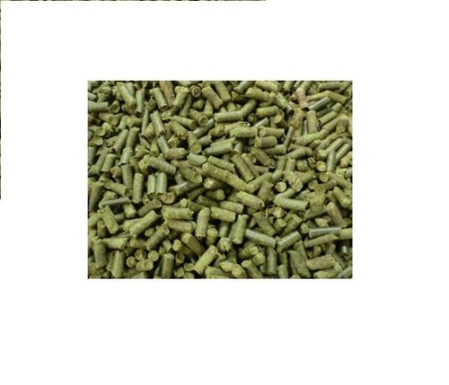 Premium tortoise grass - tortoise,
