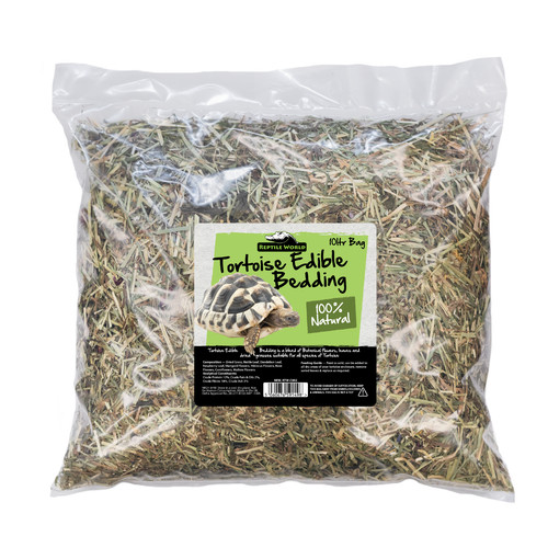 Reptile world tortoise edible - tortoise,