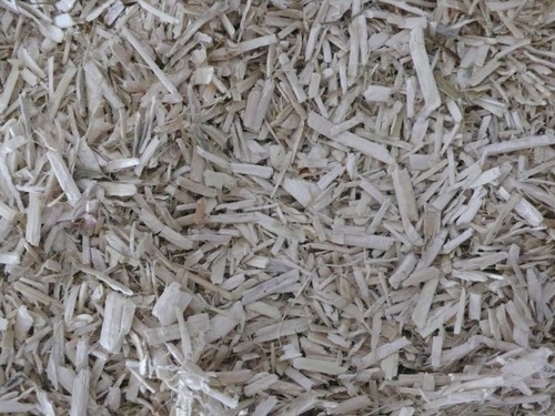 Hemp bedding tortoise - hemp,