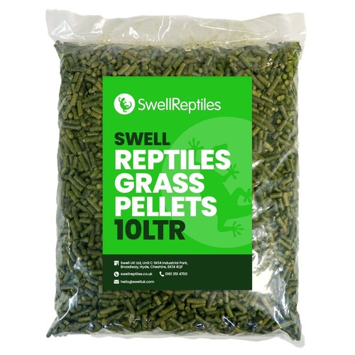 Swell reptile tortoise grass - swell,