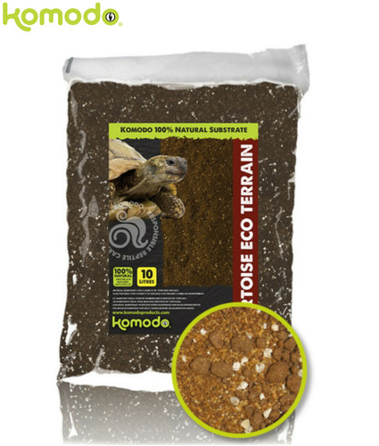 Komodo tortoise soil reptile - komodo,