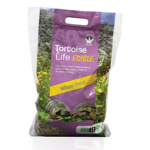 Prorep tortoise life - prorep,