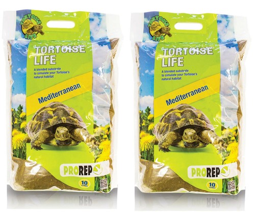 Pro life tortoise - reptile, soil