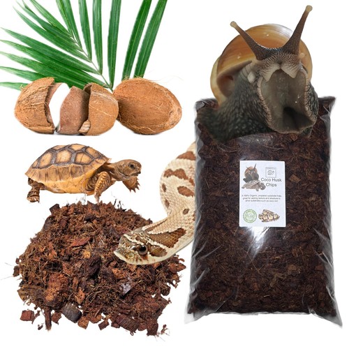 Bugznbits tropical vivarium - bugznbits,