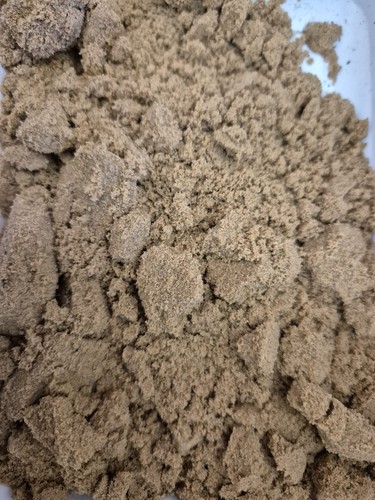 Tortoise and reptile sand - reptile,