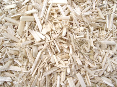 Hemp bedding tortoise - bedding,