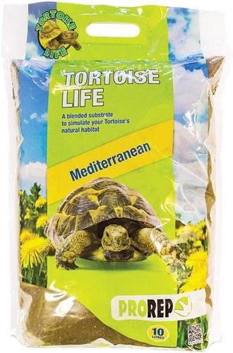 Pro life tortoise reptile - pro,