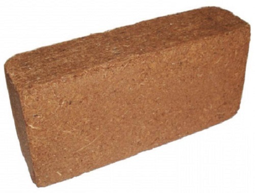 Reptile coco brick - reptile,