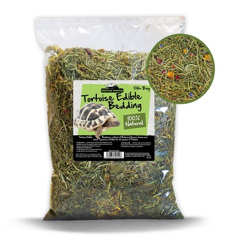 Reptile world forage - reptile,