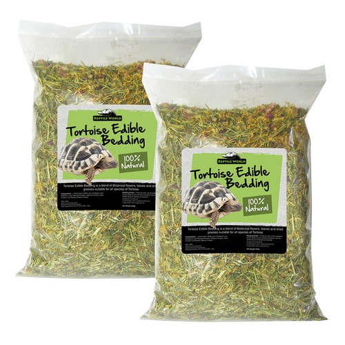 Reptile world tortoise - 2,