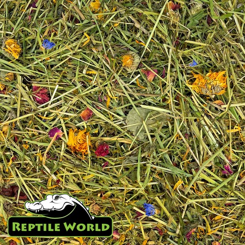 Tortoise edible bedding - edible, |